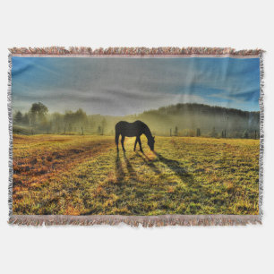 Horse Grasing at Sunrise in Misty Fält Photo Mysfilt