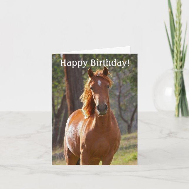 Horse Grattis på födelsedagen Card för hästälskare Kort (Framsida)