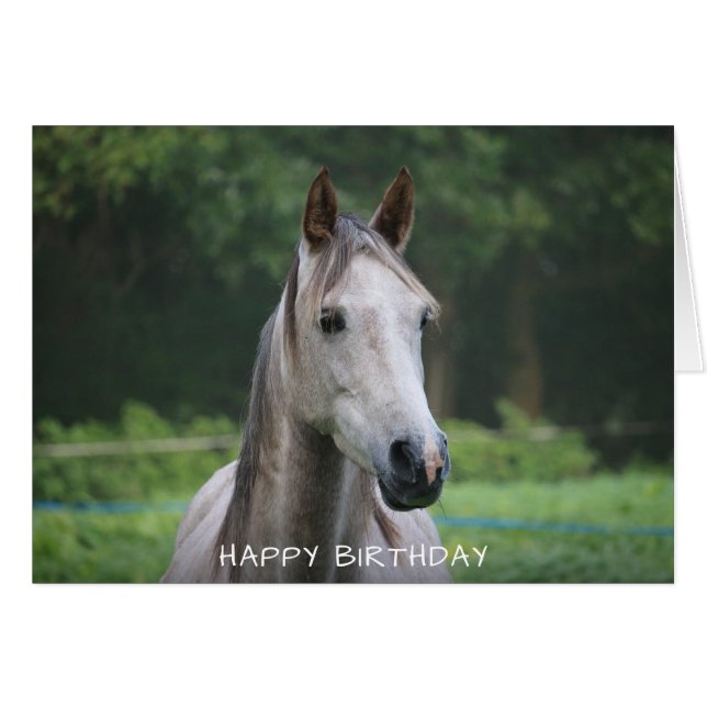 Horse Grattis på födelsedagen Card Hälsningskort (Framsidan Horizontal)