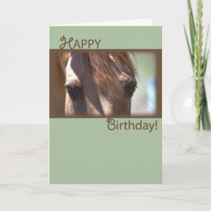 Horse, Grattis på födelsedagen Kort