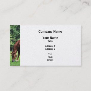 Horse Grazing in Pasture - Platinum Avsluta Visitkort