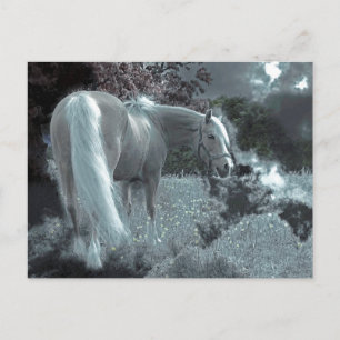 Horse Grazing in the Moonlight Vykort