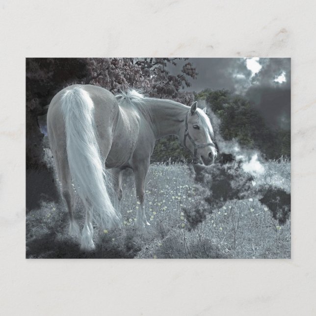 Horse Grazing in the Moonlight Vykort (Framsida)