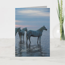 Horse Greeting Card - Camargue för hästar Kort