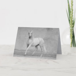 Horse Greeting Card - Klassisk spansk hingst Kort