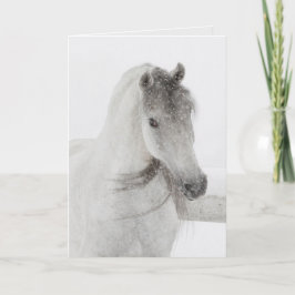 Horse Greeting Card - Mischievent Snowy Mare Kort