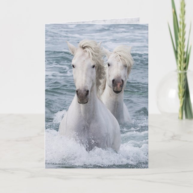Horse Greeting Card - Sea Horse Twillingars Kort (Framsida)