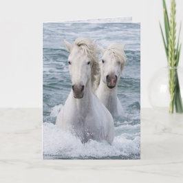 Horse Greeting Card - Sea Horse Twillingars Kort