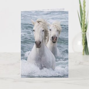 Horse Greeting Card - Sea Horse Twillingars Kort