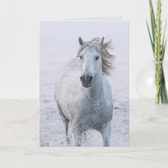Horse Greeting Card - White Horse Springa vid Solu Kort (Framsida)