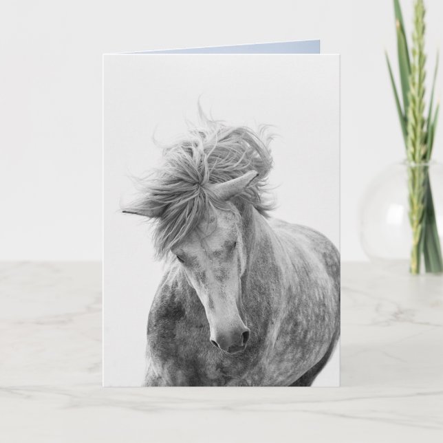 Horse Greeting Card - Young Camargue Stallion Spri Kort (Framsida)