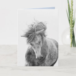 Horse Greeting Card - Young Camargue Stallion Spri Kort