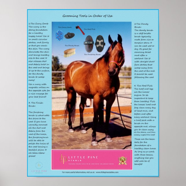Horse Grooming Verktyg och använda dem Poster (Framsidan)