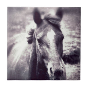 Horse Grunge Kakelplatta