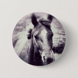 Horse Grunge Knapp