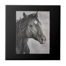 Horse Hand plockade Art