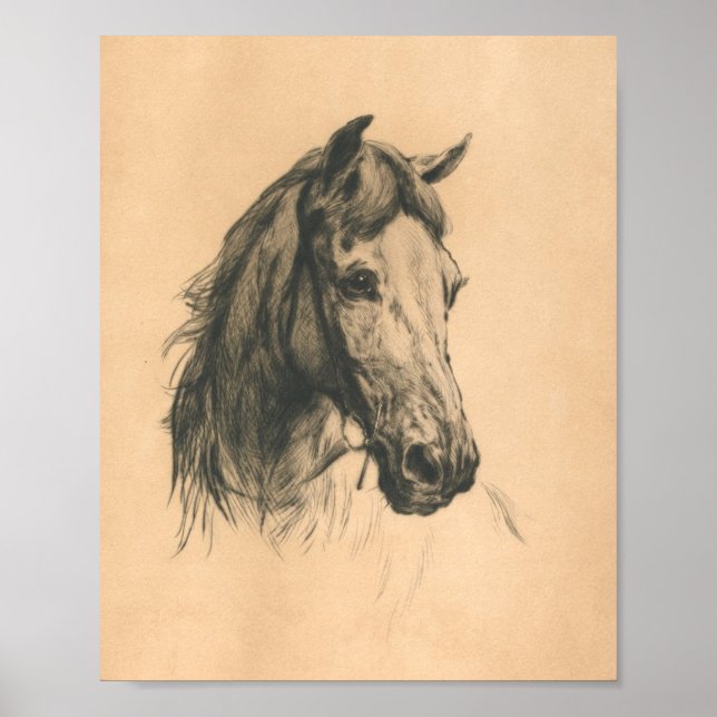Horse Head by Heywood Hardy Poster (Framsidan)