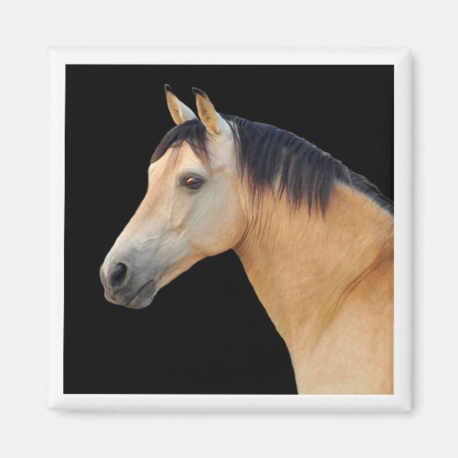 Horse Head Magnet (Framsidan)