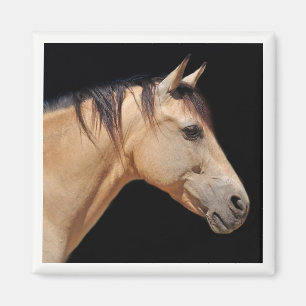 Horse Head Magnet