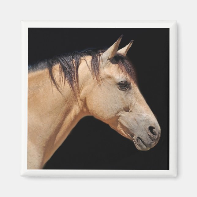 Horse Head Magnet (Framsidan)