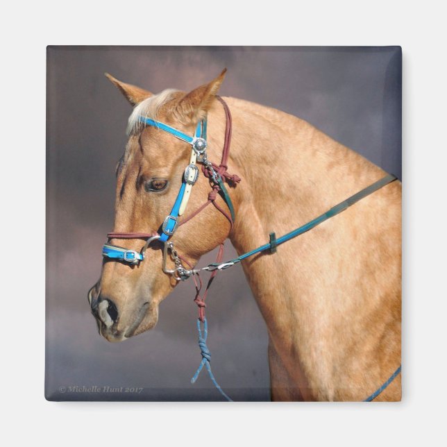 Horse Head Magnet (Framsidan)