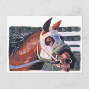 Horse Head Vykort