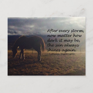 Horse Hope Vykort
