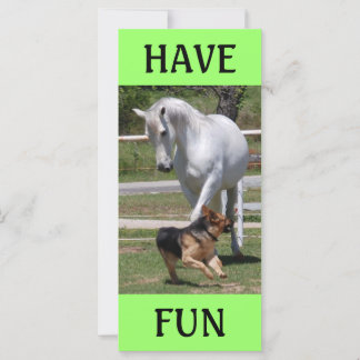 HORSE & HUND PLAY