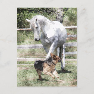 HORSE & HUND PLAY WATERCOLOR VYKORT
