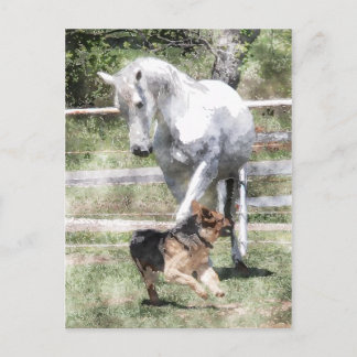 HORSE & HUND PLAY WATERCOLOR VYKORT