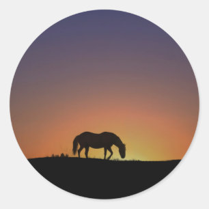Horse i Southwest Sunrise Sticker Runt Klistermärke