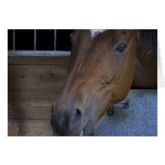 HORSE I STABIL HÄLSNINGSKORT