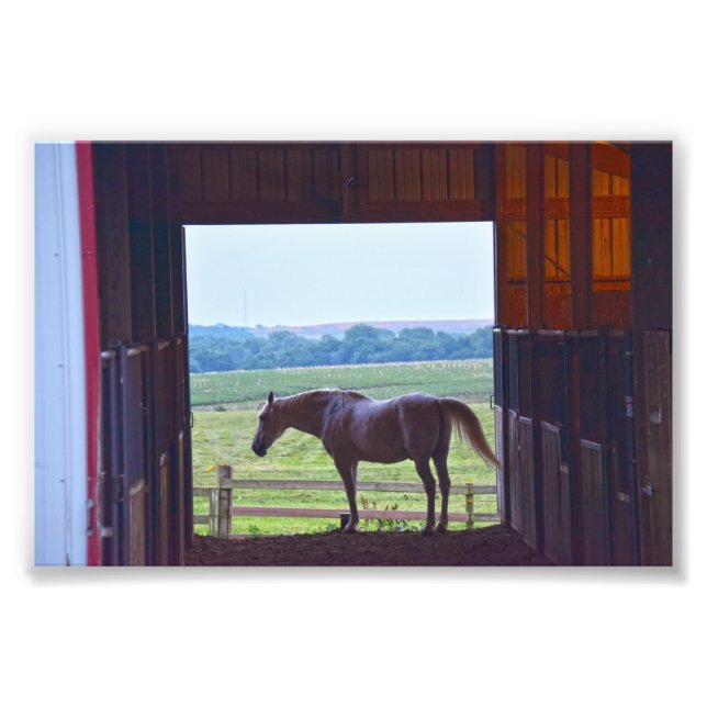 Horse in a Stable, Missouri Fototryck (Framsidan)