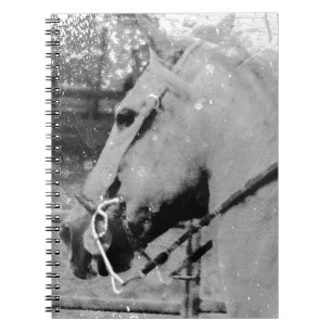 Horse in Black and White Anteckningsbok Med Spiral