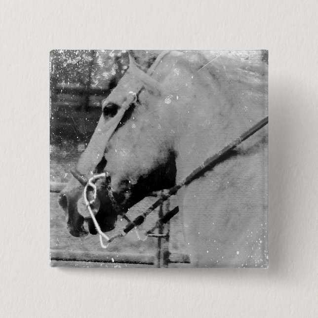 Horse in Black and White Knapp (Framsida)