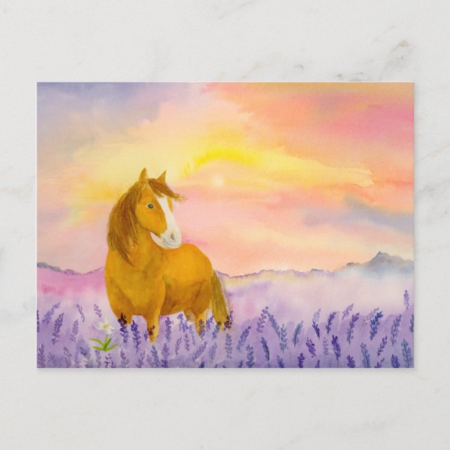 Horse in Lavender Field During Sunset  Vykort (Framsida)