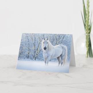 Horse in Snow with Lights Holiday Christmas Helgkort