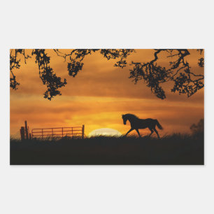 Horse in sunset Sticker Rektangulärt Klistermärke