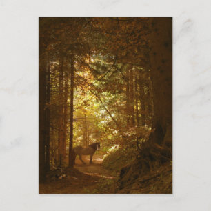 Horse in the Magic Lit Forest Vykort