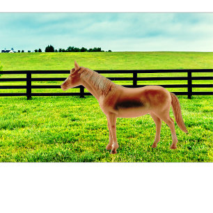 Horse in the Pasture Kudde