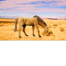 Horse in the Pasture T Shirt