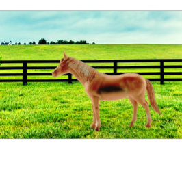 Horse in the Pasture T Shirt