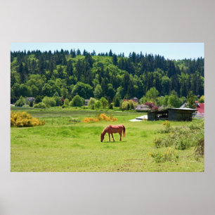 Horse in Valley Print Poster
