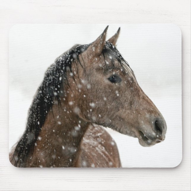 Horse in Winter Musmatta (Framsidan)