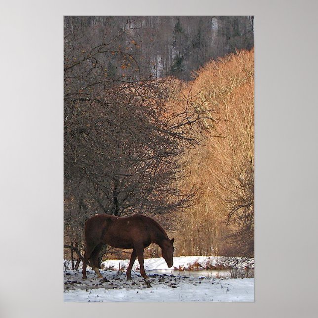 Horse in Winter Poster (Framsidan)