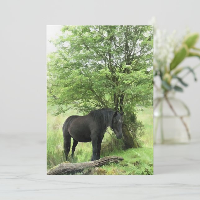 HORSE-inbjudan (Stående Fram)