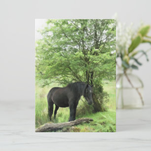 HORSE-inbjudan