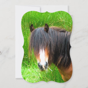 HORSE-inbjudningar