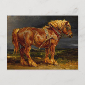 Horse - James Ward Vykort