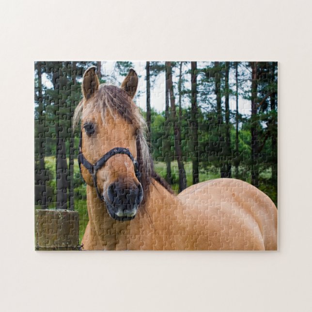 Horse Jigszawa puzzle Pussel (Horisontell)